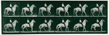 Walking, 1872-1885. Creator: Eadweard J Muybridge