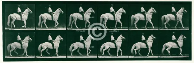 Walking, 1872-1885.  Creator: Eadweard J Muybridge.
