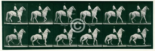 Walking, 1872-1885.  Creator: Eadweard J Muybridge.