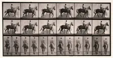 Walking, 1872-1885. Creator: Eadweard J Muybridge