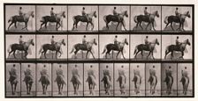 Walking, 1872-1885. Creator: Eadweard J Muybridge