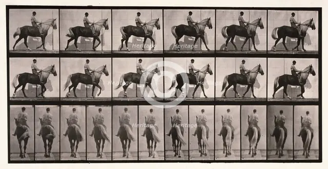 Walking, 1872-1885.  Creator: Eadweard J Muybridge.