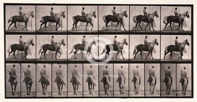 Walking, 1872-1885.  Creator: Eadweard J Muybridge.