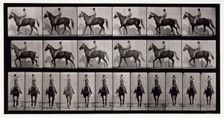 Walking, 1872-1885. Creator: Eadweard J Muybridge