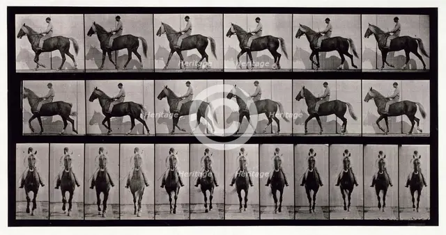 Walking, 1872-1885.  Creator: Eadweard J Muybridge.