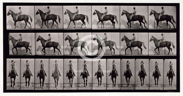 Walking, 1872-1885.  Creator: Eadweard J Muybridge.