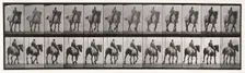 Walking , 1872-1885. Creator: Eadweard J Muybridge