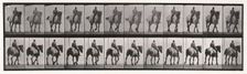 Walking , 1872-1885. Creator: Eadweard J Muybridge
