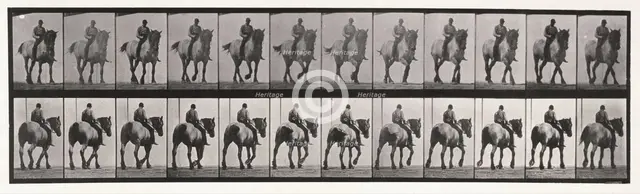 Walking , 1872-1885.  Creator: Eadweard J Muybridge.