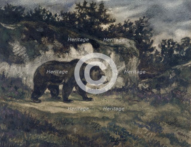 Walking Bear, c1850s-1860s. Creator: Antoine-Louis Barye.