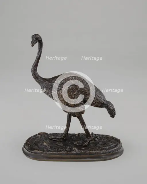 Walking Ostrich, model 19th century. Creator: Unknown.