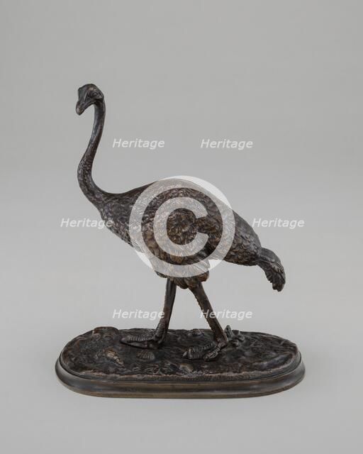 Walking Ostrich, model 19th century. Creator: Unknown.