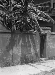 Wall with a doorway to a courtyard and a house, New Orleans, between 1920 and 1926. Creator: Arnold Genthe