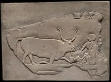 Wall Fragment from a Tomb Depicting a Herdsman, Egypt, First Intermediate Period, Dynasties 9-10... Creator: Unknown