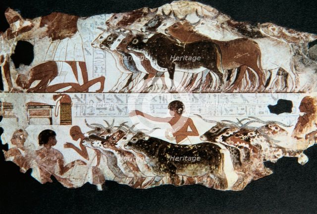 Wall painting from the tomb of Nebarunun, Thebes, Egypt, c1350 BC. Artist: Unknown