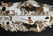 Wall painting from the tomb of Nebarunun, Thebes, Egypt, c1350 BC