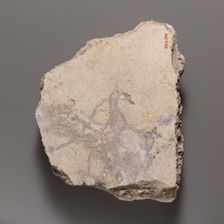 Wall painting fragment with a swan, ca. A.D. 14-68. Creator: Unknown