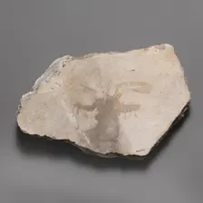 Wall painting fragment with winged figure, ca. A.D. 14-68. Creator: Unknown
