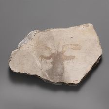 Wall painting fragment with winged figure, ca. A.D. 14-68. Creator: Unknown