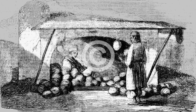 'Wallachian seller of water-melons; Wallachia', 1854. Creator: Unknown.