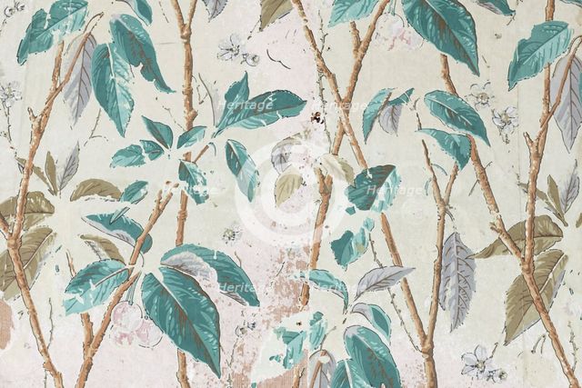 Wallpaper in the garden house, Mount Edgcumbe Country Park, Cornwall, 2019. Creator: Steven Baker.