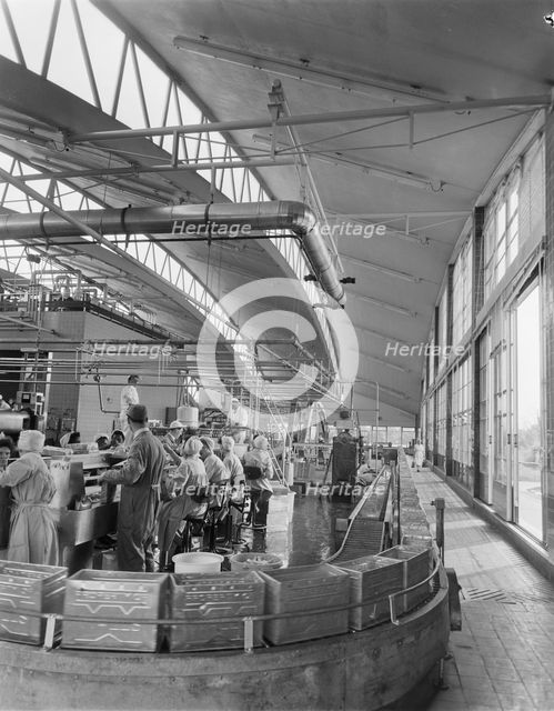 Wall's Ice Cream Factory, Gloucester, Gloucestershire, 13/06/1961. Creator: John Laing plc.