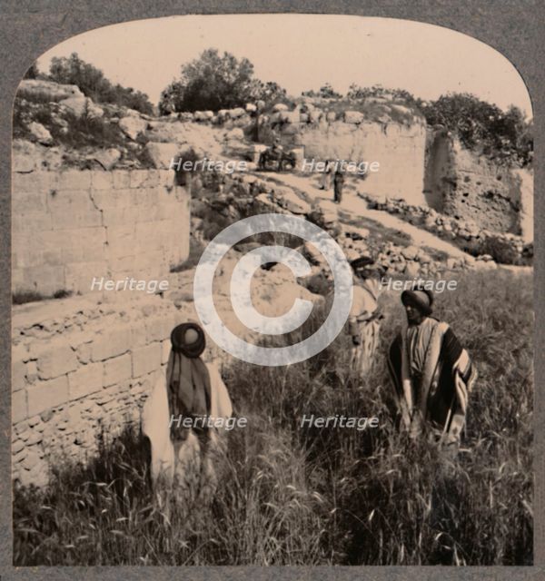 'Walls of Augustus, Samaria', c1900. Artist: Unknown.