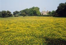 Walmer Castle Meadow, Kent, c2000s(?). Artist: Historic England Staff Photographer