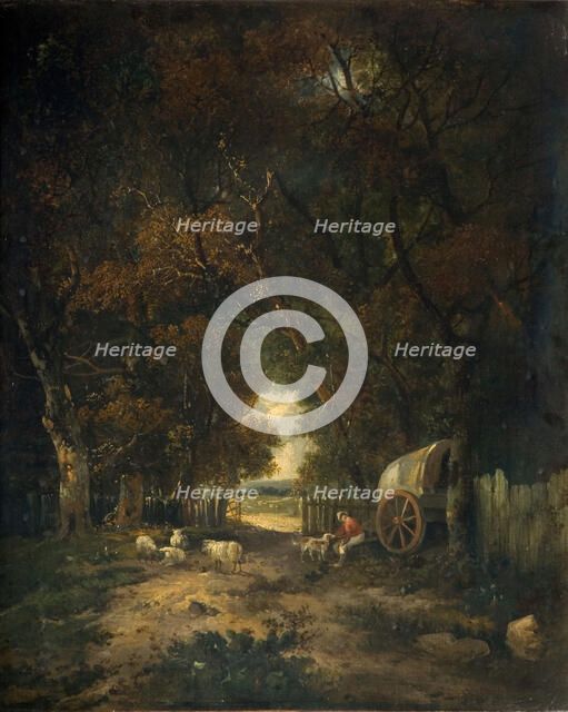 Walnut Tree Walk, Earlham, 1836-63.  Creator: Samuel David Colkett.