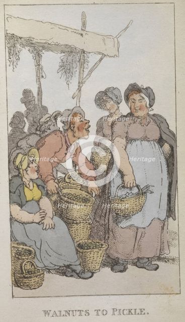 'Walnuts to pickle', 1820. Creator: Thomas Rowlandson.