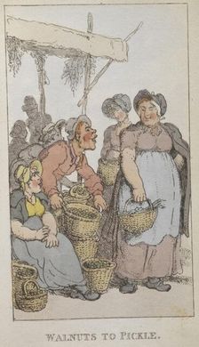 Walnuts to pickle 1820. Creator: Thomas Rowlandson