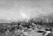 Walrus hunting, 19th century.Artist: Pearson