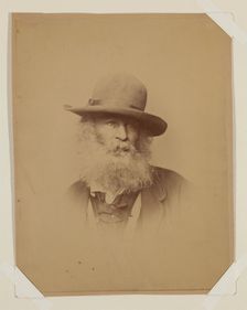 Walt Whitman, 1862. Creator: Alexander Gardner