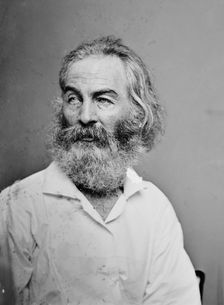 Walt Whitman, 1862. Creator: Brady's National Photographic Portrait Galleries