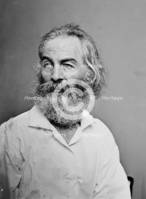 Walt Whitman, 1862. Creator: Brady's National Photographic Portrait Galleries.