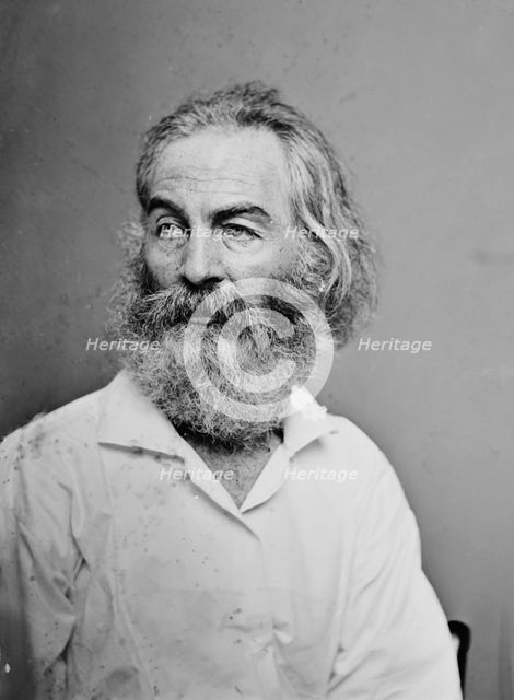 Walt Whitman, 1862. Creator: Brady's National Photographic Portrait Galleries.