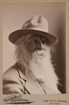 Walt Whitman, 1879. Creator: Napoleon Sarony