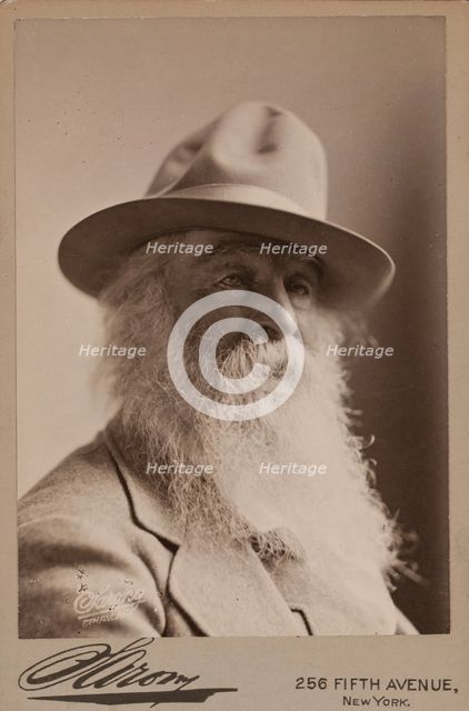 Walt Whitman, 1879. Creator: Napoleon Sarony.