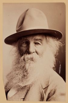 Walt Whitman, c1870s. Creator: Napoleon Sarony