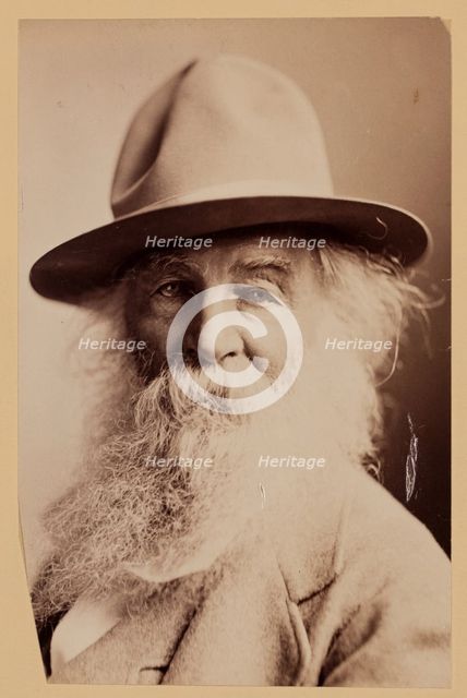 Walt Whitman, c1870s.  Creator: Napoleon Sarony.