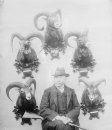 Walter Winans [with Mt. Sheep head trophies], between c1910 and c1915. Creator: Bain News Service