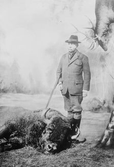 Walter Winans with gun and dead buffalo, between c1910 and c1915. Creator: Bain News Service