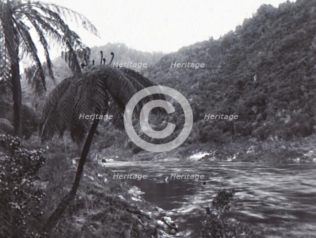 'Wanganui River', late 19th-early 20th century.  Creator: Unknown.