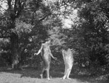 Wanger, Beatrice, Miss, and Miss Marian Berenger, 1918 or 1919. Creator: Arnold Genthe