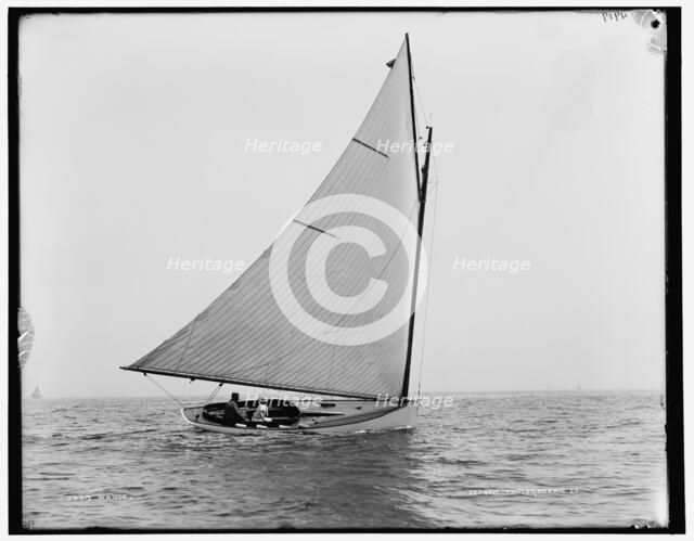 Wanda, between 1880 and 1899. Creator: Unknown.