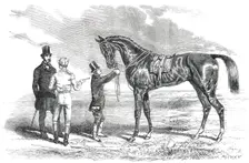 Wanota, Winner of the Ascot Stakes, 1850. Creator: Unknown