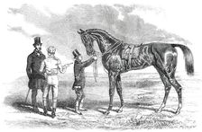 Wanota, Winner of the Ascot Stakes, 1850. Creator: Unknown