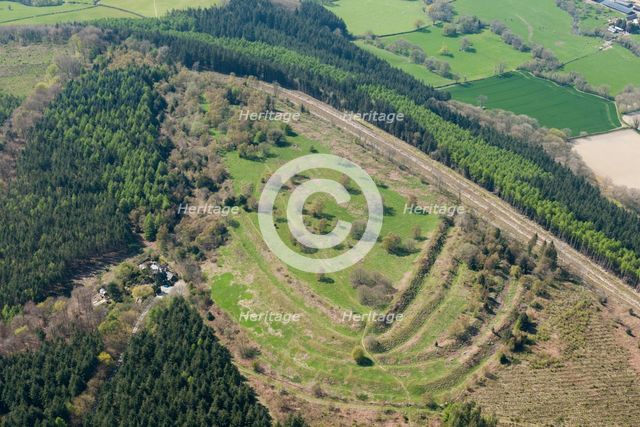 Wapley Hill multivallate hillfort, Herefordshire, 2016. Creator: Damian Grady.