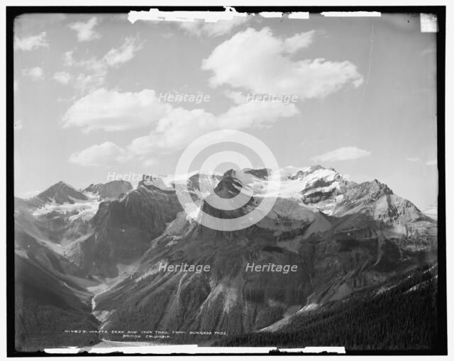 Wapta Peak and Yoho Trail from Burgess Pass, British Columbia, c1902. Creator: Unknown.