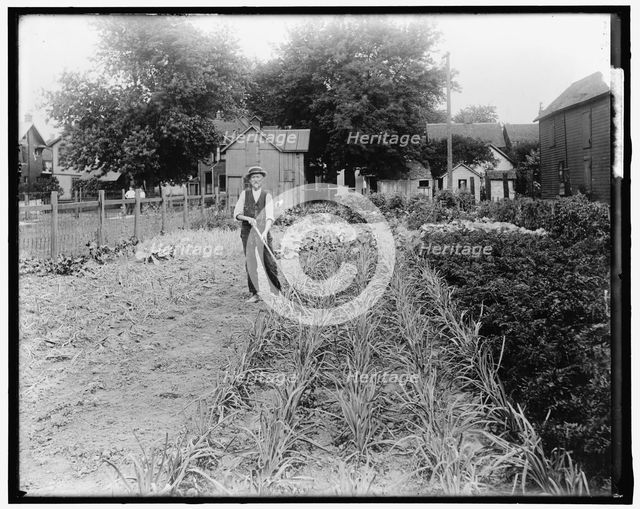 War Garden, between 1910 and 1920. Creator: Harris & Ewing.